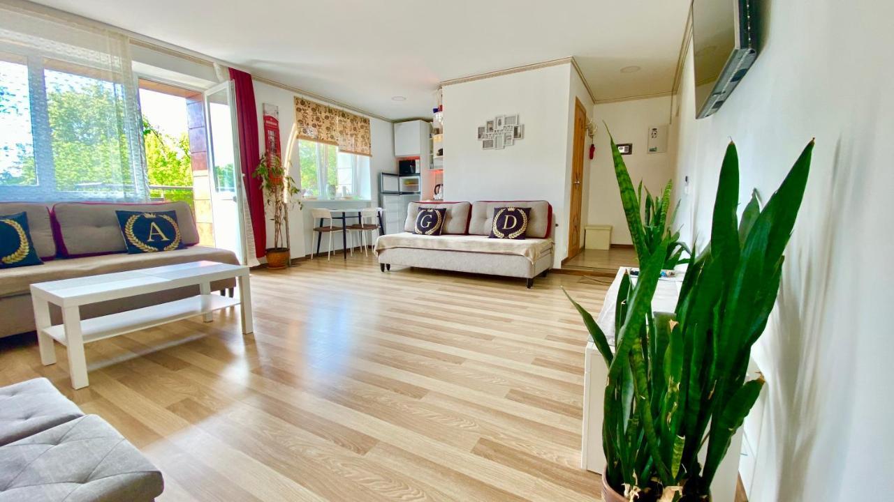פלאנגה Neriesapartment No.2 Bedrooms Modern Suite In Centrum מראה חיצוני תמונה